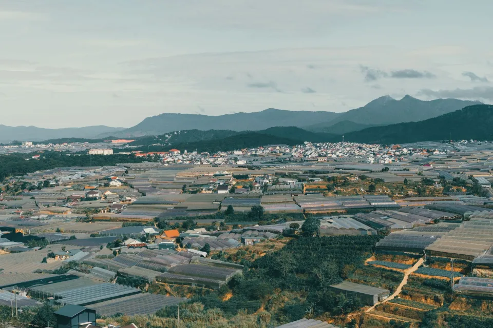 Tại Nguyễn Thị Đào