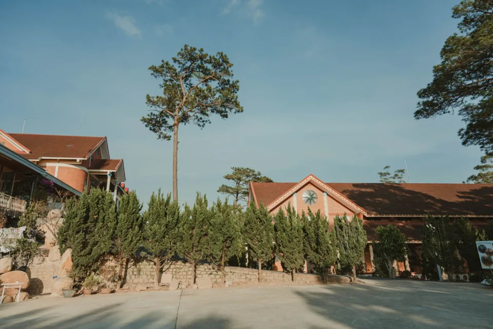 Hình ảnh tại Nguyễn Thị Đào 2